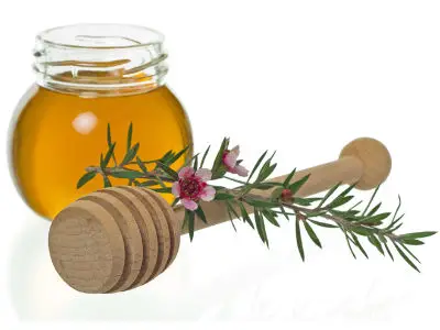 Le miel de manuka pour le soin des plaies